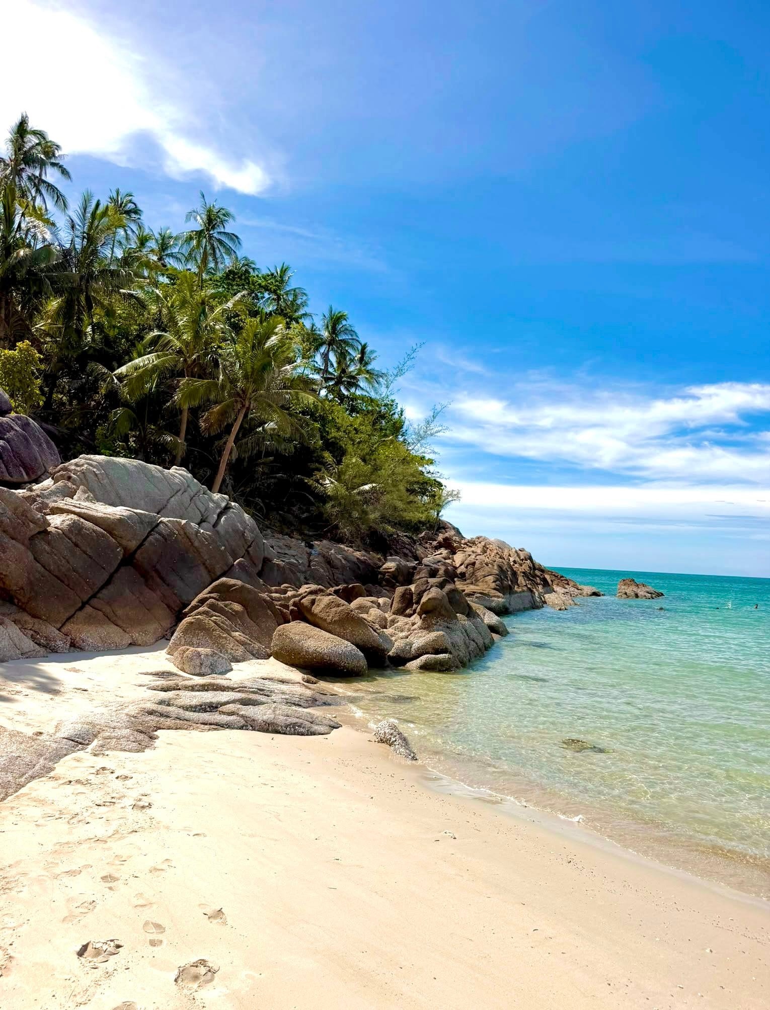 Tropical beach with palm trees, rocks and turquoise water
